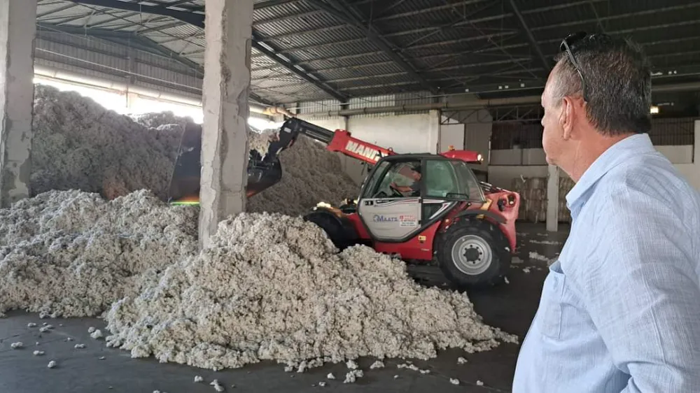 SÖKE TARİŞ
