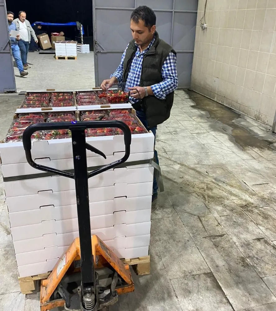 Söke’de ihracat hareketliliği -